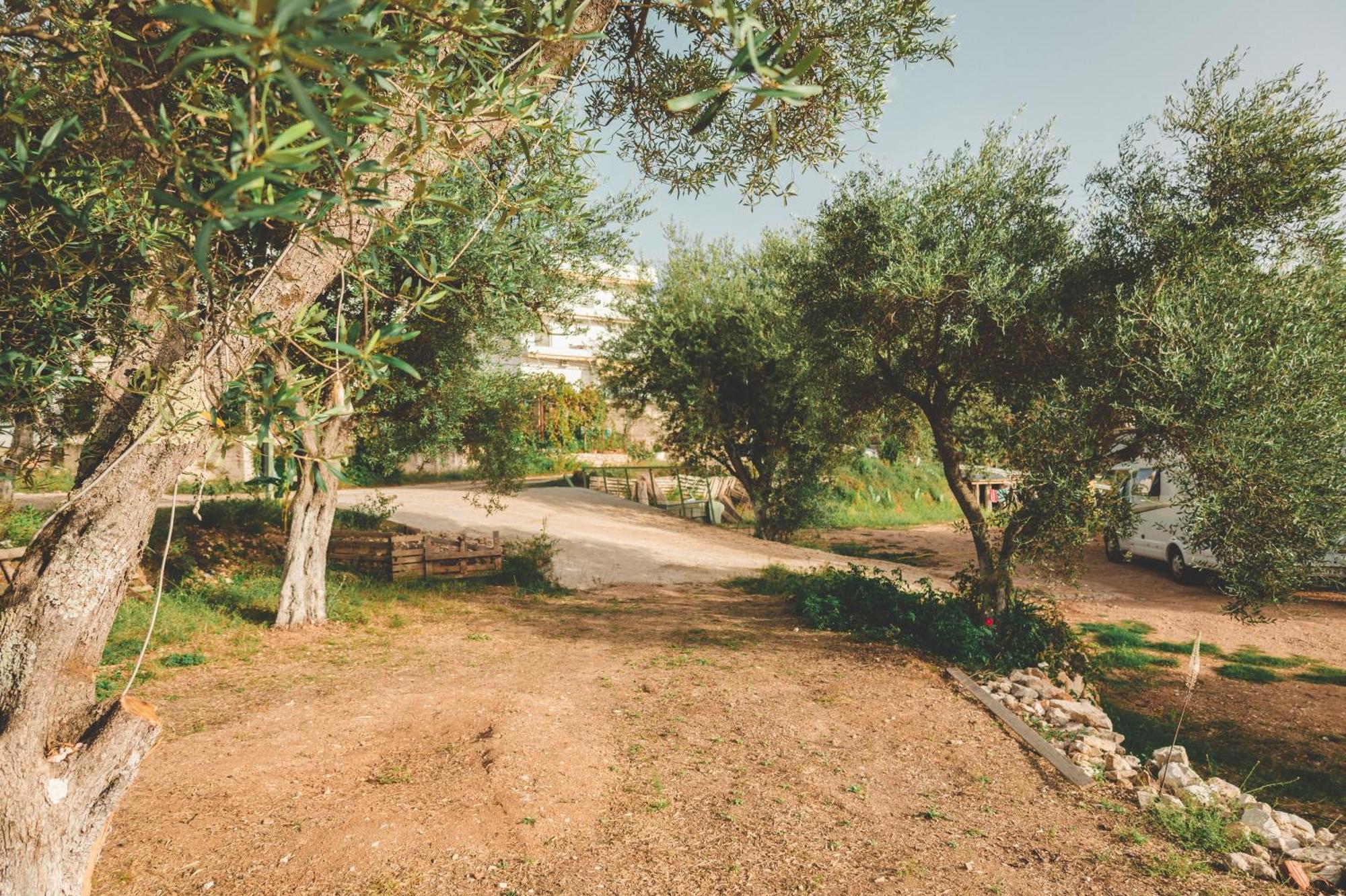 Olive Camping Χειμάρρα Εξωτερικό φωτογραφία