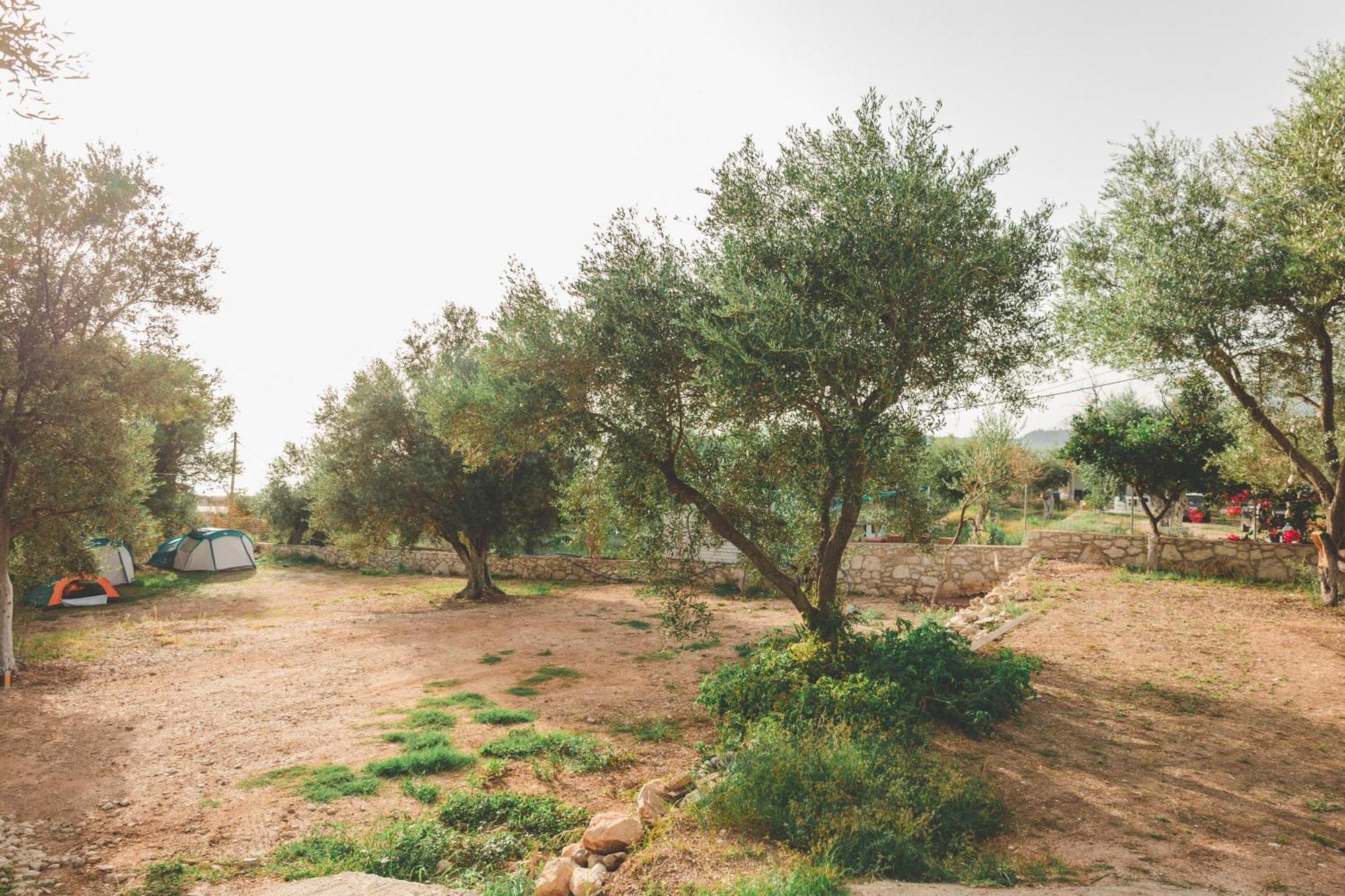Olive Camping Χειμάρρα Εξωτερικό φωτογραφία