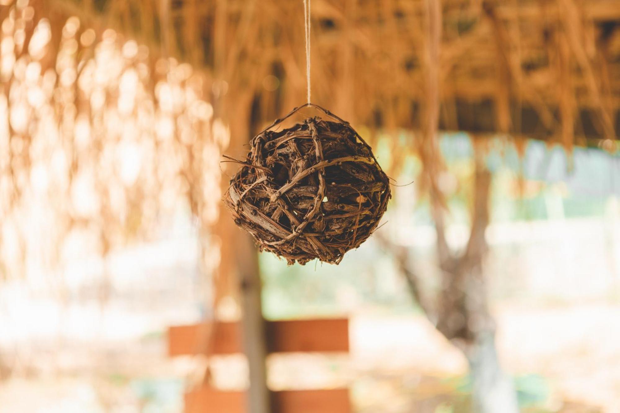 Olive Camping Χειμάρρα Εξωτερικό φωτογραφία