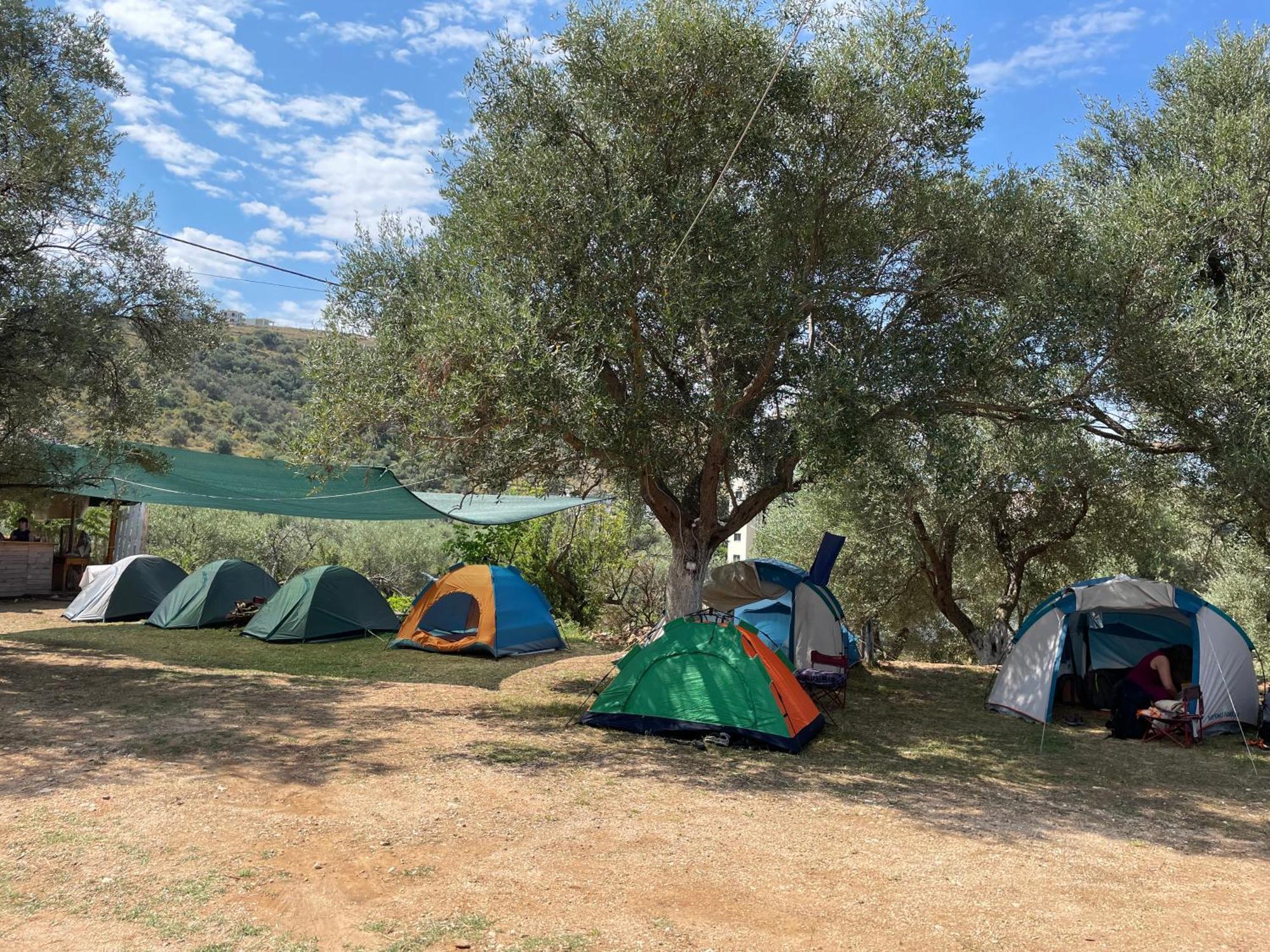 Olive Camping Χειμάρρα Εξωτερικό φωτογραφία
