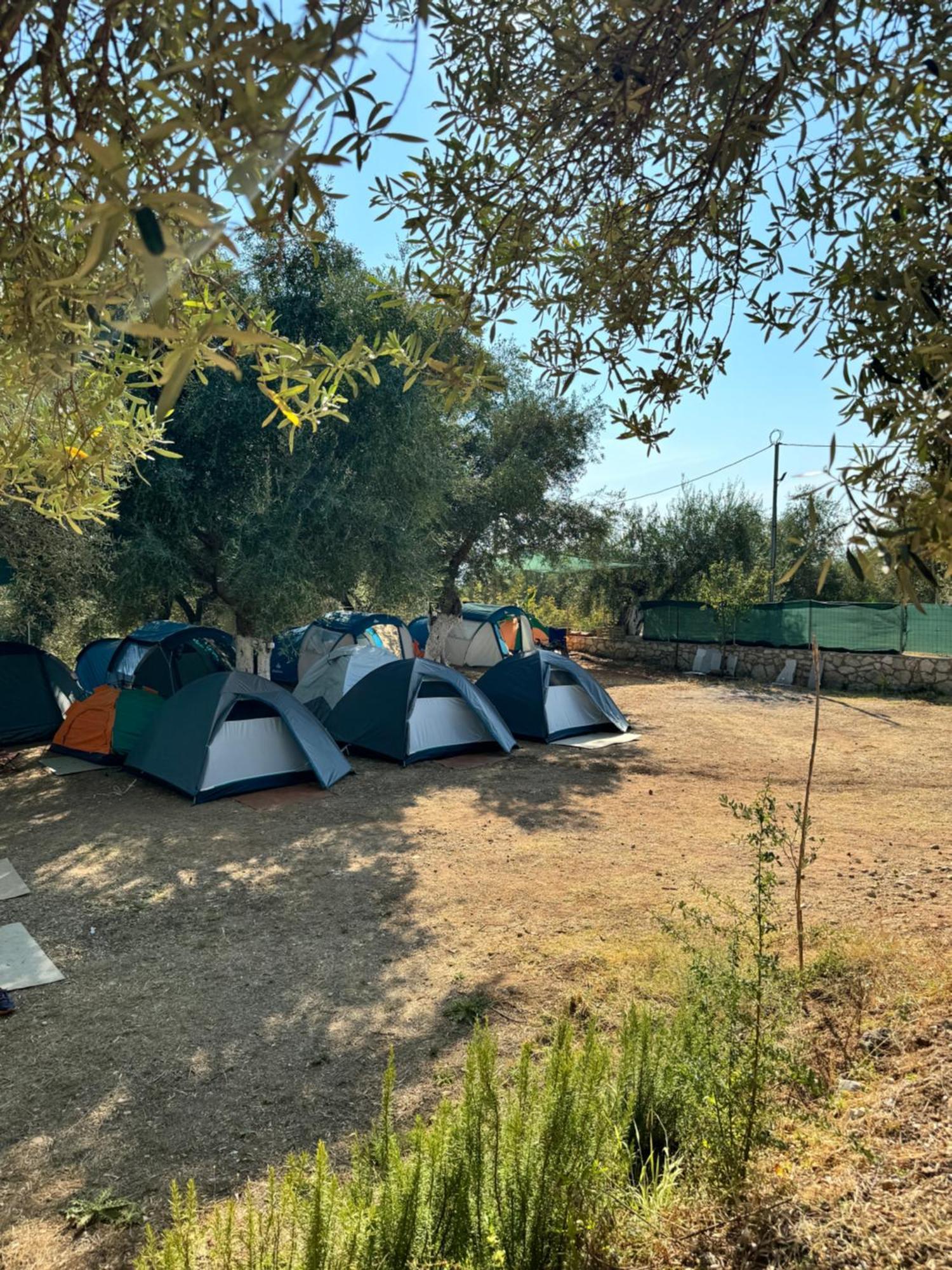 Olive Camping Χειμάρρα Εξωτερικό φωτογραφία